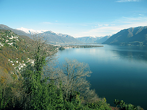 Ronco sopra Ascona